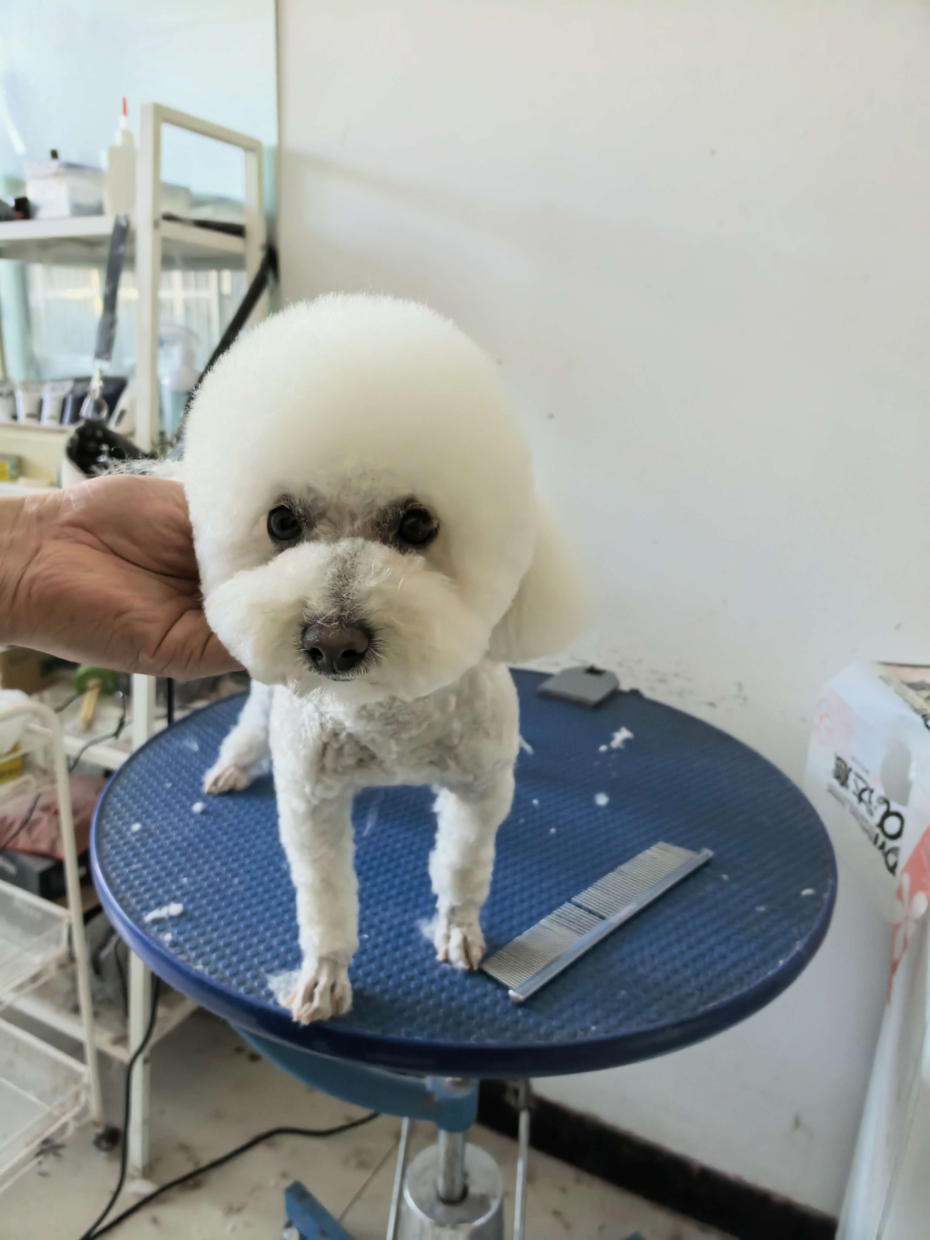 美容作品